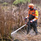 travail en forêt